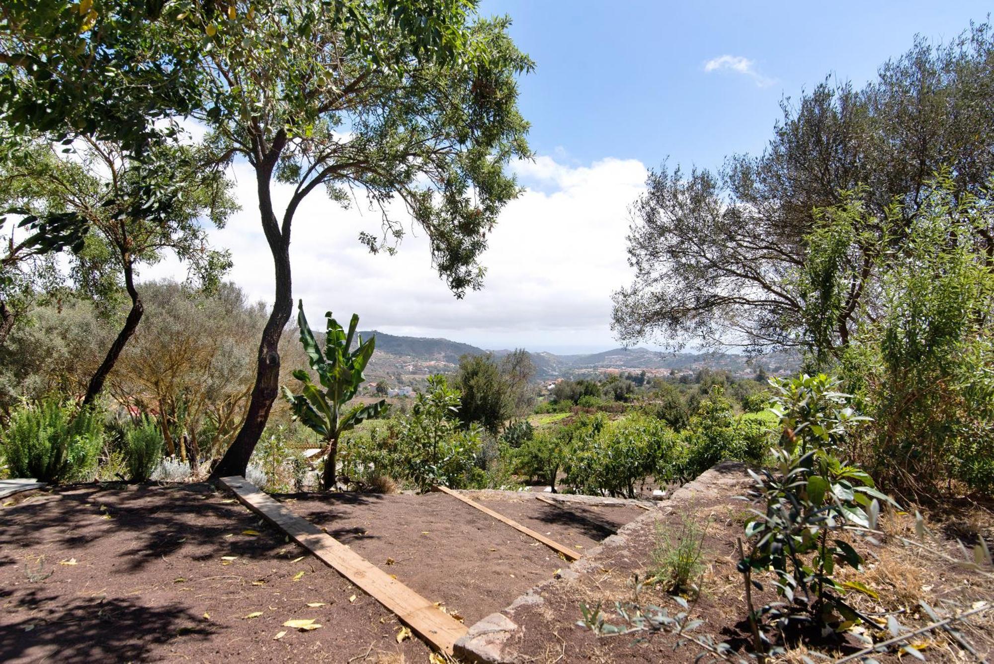Villa La Casita De La Orilla De Penate Santa Brígida Exterior foto